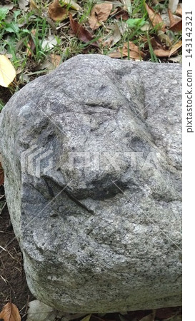 A mysterious stone (unusual stone) that resembles the face of a smiling dog. A mysterious stone (unusual stone) that resembles the face of a smiling dog. 143142321