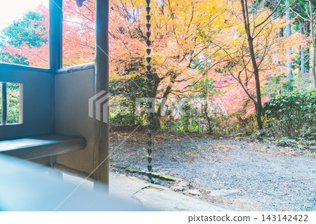 京都寺廟的秋葉照片 京都寺廟的秋葉照片 143142422