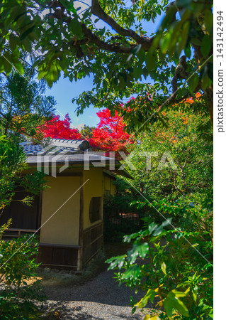 京都寺廟的秋葉照片 京都寺廟的秋葉照片 143142494