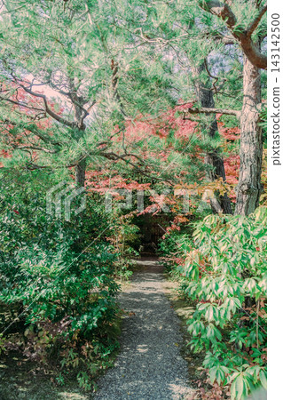 京都寺廟的秋葉照片 京都寺廟的秋葉照片 143142500