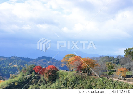 Oka城堡站點秋葉 Oka城堡站點秋葉 143142838