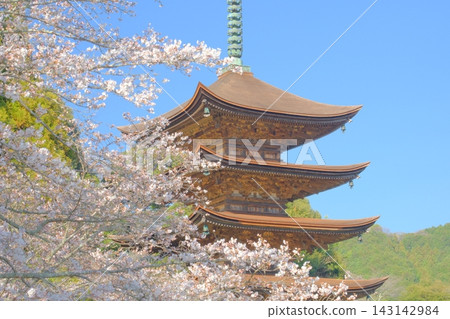 A harmonious display of Japanese beauty, a charming spring day. A harmonious display of Japanese beauty, a charming spring day. 143142984