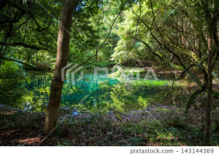 Maruike Pond in Yuza Town, Yamagata Prefecture, shines with an emerald green hue. Maruike Pond in Yuza Town, Yamagata Prefecture, shines with an emerald green hue. 143144369