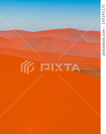 Dune 45 sand dunes in Sossusvlei Namibia under warm low light Dune 45 sand dunes in Sossusvlei Namibia under warm low light 143145175