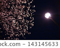 Cherry blossoms illuminated by streetlights at night 143145633