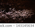 Cherry blossoms illuminated by streetlights, floating in the darkness. 143145634