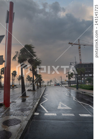 Stormy Coastal Street in Cape Town with Windblown Palm Trees Stormy Coastal Street in Cape Town with Windblown Palm Trees 143145725