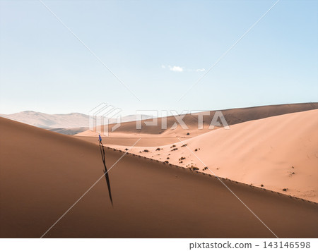 Aerial view shows a lone hiker on apricot dunes in Deadvlei, Sossusvlei, Namibia. Morning light casts a long shadow across sculpted ridgelines and sparse desert shrubs. Aerial view shows a lone hiker on apricot dunes in Deadvlei, Sossusvlei, Namibia. Morning light casts a long shadow across sculpted ridgelines and sparse desert shrubs. 143146598