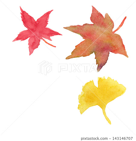 Hand-drawn watercolor illustrations of autumn leaves (maple, ginkgo) - Corner material Hand-drawn watercolor illustrations of autumn leaves (maple, ginkgo) - Corner material 143146707