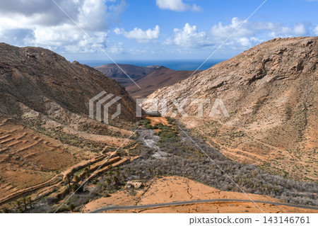 Aerial view shows rugged valley, terraced slopes, winding road, and Atlantic horizon in Fuerteventura, Canary Islands, under scattered cumulus clouds at midday light. 143146761