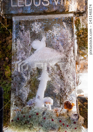 A close up shows a rectangular ice sculpture in Riga, Latvia. A white mushroom sits inside, with frosty fern motifs, snowflake forms, berries, and moss visible. A close up shows a rectangular ice sculpture in Riga, Latvia. A white mushroom sits inside, with frosty fern motifs, snowflake forms, berries, and moss visible. 143146874