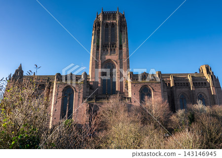 Low angle view of Liverpool Cathedral in Liverpool, England. Sandstone tower, pointed arches, lancet windows, and tracery rise above bare trees under crisp daylight. 143146945
