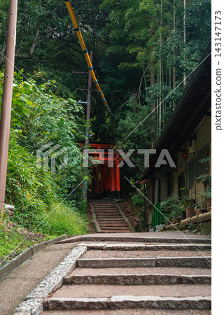 A narrow stone stair climbs through bamboo toward a vermilion torii gate in Kyoto, Japan. A wooden building lines the path, with utility lines above in soft daylight. A narrow stone stair climbs through bamboo toward a vermilion torii gate in Kyoto, Japan. A wooden building lines the path, with utility lines above in soft daylight. 143147173
