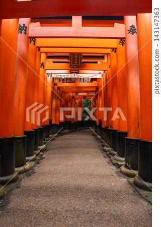 A low centered view along the Senbon Torii pathway in Kyoto, Japan. Repeating vermilion gates and kanji frame a winding stone path in soft diffused daylight. A low centered view along the Senbon Torii pathway in Kyoto, Japan. Repeating vermilion gates and kanji frame a winding stone path in soft diffused daylight. 143147363