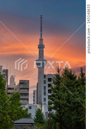 Tokyo Skytree rises over low rise apartments and trees in Sumida at sunset. Warm light colors the lattice spire as evening travel energy builds in the neighborhood. Tokyo Skytree rises over low rise apartments and trees in Sumida at sunset. Warm light colors the lattice spire as evening travel energy builds in the neighborhood. 143148635