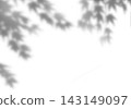 楓葉投下的柔和陰影 143149097