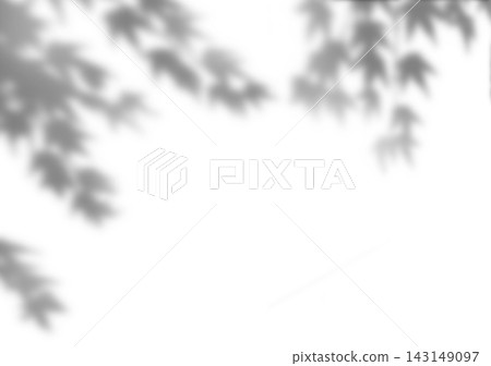 楓葉投下的柔和陰影 143149097