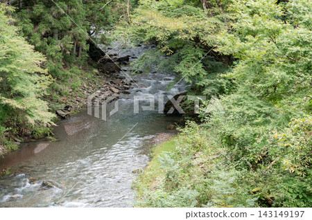 The lush, clear stream surrounded by trees in Tsurukawa, Uenohara City, and the scenery of the mountain stream in early autumn. The lush, clear stream surrounded by trees in Tsurukawa, Uenohara City, and the scenery of the mountain stream in early autumn. 143149197