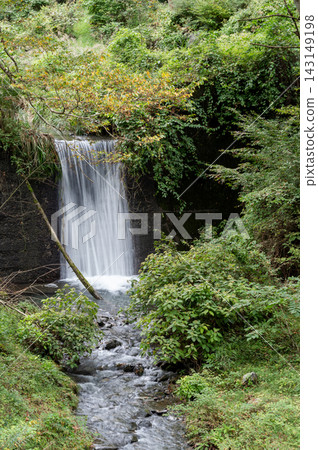 The clear stream flowing down the Tsurukawa weir in Uenohara City, and the lush green scenery of the stream in early autumn. The clear stream flowing down the Tsurukawa weir in Uenohara City, and the lush green scenery of the stream in early autumn. 143149198