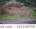Gravel sand pile overgrown with ivy an grasses 143149700