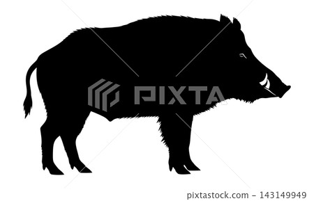 Black Wild Boar Silhouette Icon 143149949