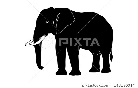 Black Elephant Silhouette Animal Icon Black Elephant Silhouette Animal Icon 143150014