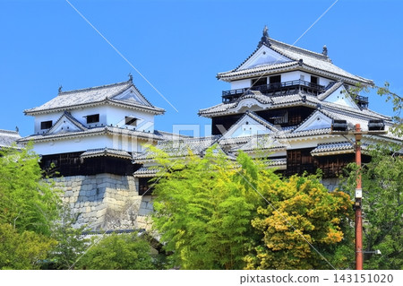 [愛媛縣]松山城（現存天守閣12座） 143151020
