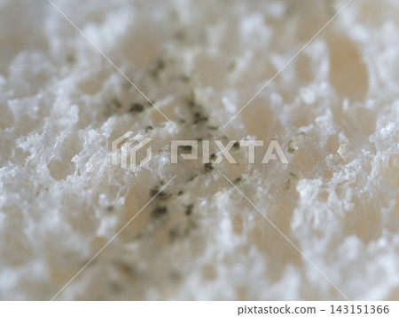 Mold growing on sliced bread Mold growing on sliced bread 143151366