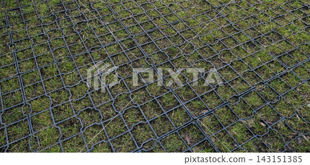 Plastic lawn grid tiles with green grass growing inside cells, modern eco friendly parking lot and garden paving Plastic lawn grid tiles with green grass growing inside cells, modern eco friendly parking lot and garden paving 143151385