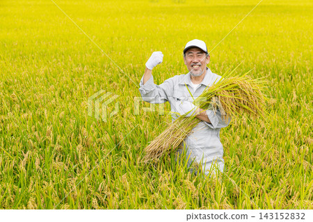 老人們正在收割稻米 老人們正在收割稻米 143152832