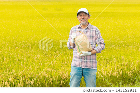 老人收割水稻 老人收割水稻 143152911