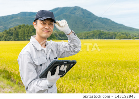 A middle-aged man holding a tablet looks at ripe rice stalks. A middle-aged man holding a tablet looks at ripe rice stalks. 143152943