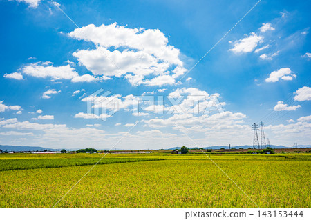 Autumn rural landscape, Kumiyama Town, Kuse District, Kyoto Prefecture Autumn rural landscape, Kumiyama Town, Kuse District, Kyoto Prefecture 143153444