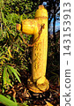 Old fire hydrant 143153913