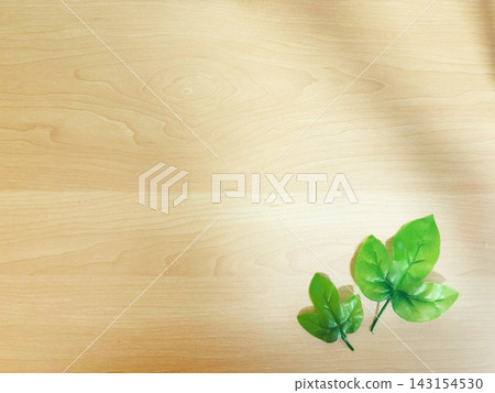 小葉和大葉 小葉和大葉 143154530
