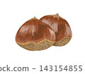 An illustration of two chestnuts side-by-side against a white background, depicting the flavors of autumn. 143154855