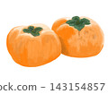 An illustration of two persimmons side by side against a white background. 143154857