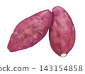 An illustration of two sweet potatoes side-by-side against a white background, a taste of autumn! 143154858