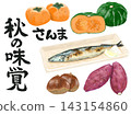 An illustration of a set of autumn delicacies on a white background, featuring calligraphy of persimmons, pumpkins, grilled saury, chestnuts, sweet potatoes, and saury. 143154860