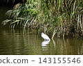 Yamadaike Park 143155546
