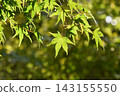 Yamadaike Park 143155550
