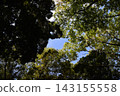 Yamadaike Park 143155558