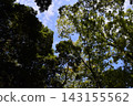 Yamadaike Park 143155562