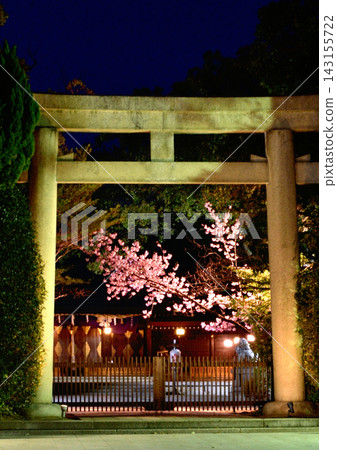 夜晚,櫻花和鳥居燈火通明 夜晚,櫻花和鳥居燈火通明 143155722