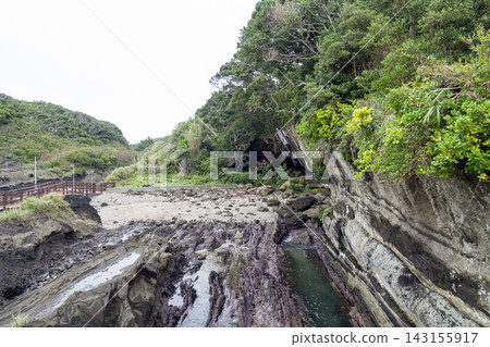 城島秋 143155917