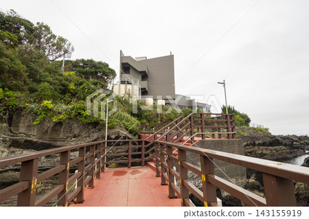 城島秋 143155919