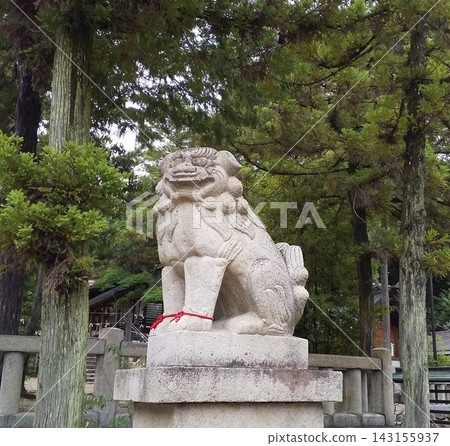 Komainu在神社 Komainu在神社 143155937