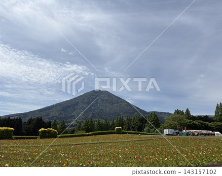 外出景點 宮崎縣 143157102