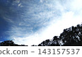 雲和樹 143157537