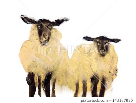 Charcoal and acrylic painting of two sheep on Japanese paper Charcoal and acrylic painting of two sheep on Japanese paper 143157950